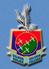 The Silver Falcons