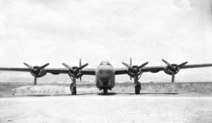 celone-a169